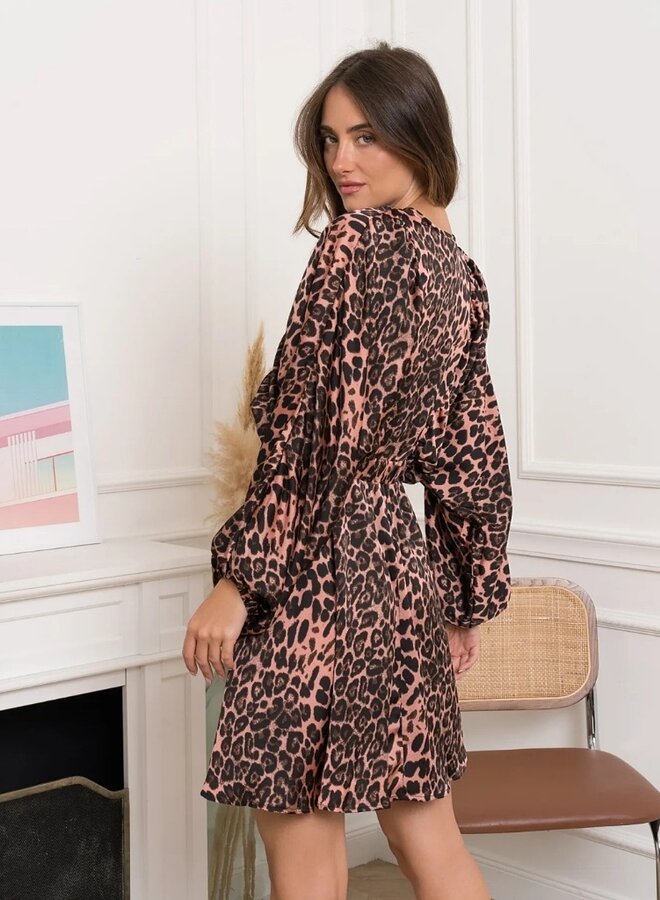 Leopard print silky dress