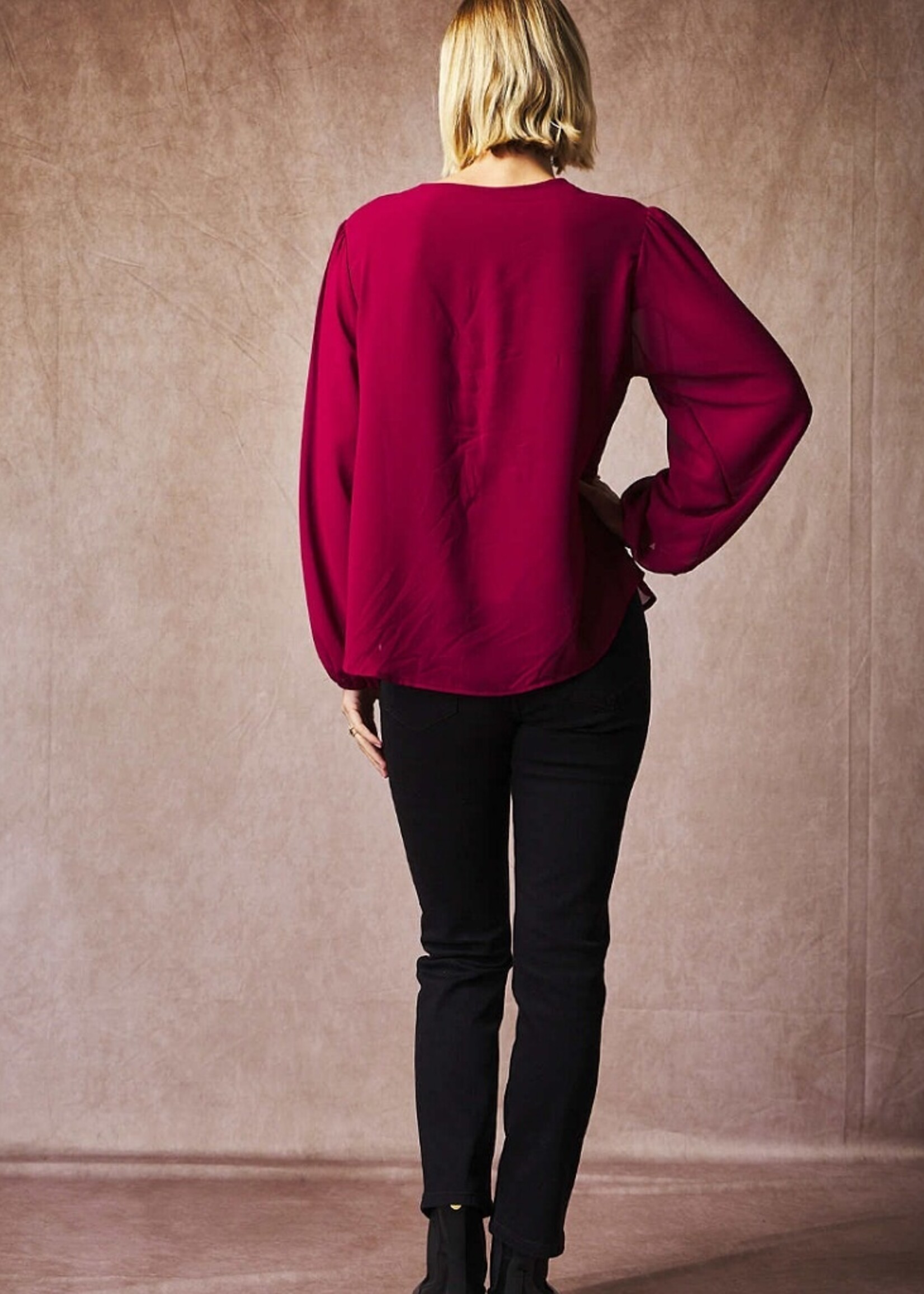 v neck sequin blouse