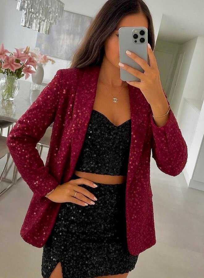 sequin blazer with lining