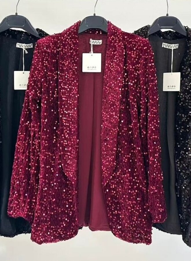 sequin blazer with lining