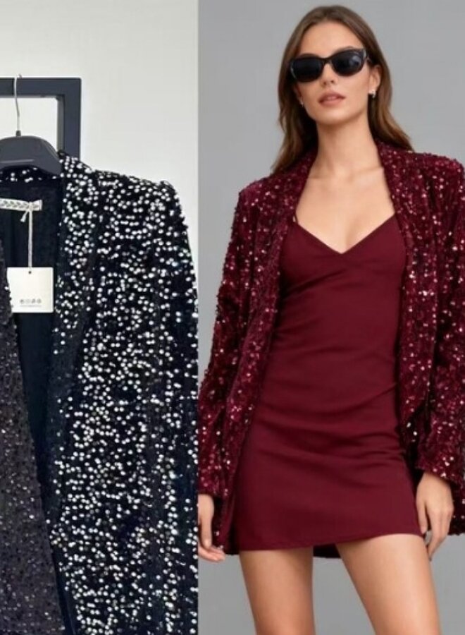 sequin blazer with lining