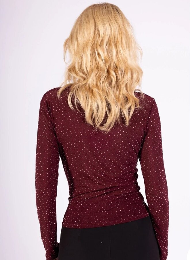 Long sleeve sparkle mesh top with high neck