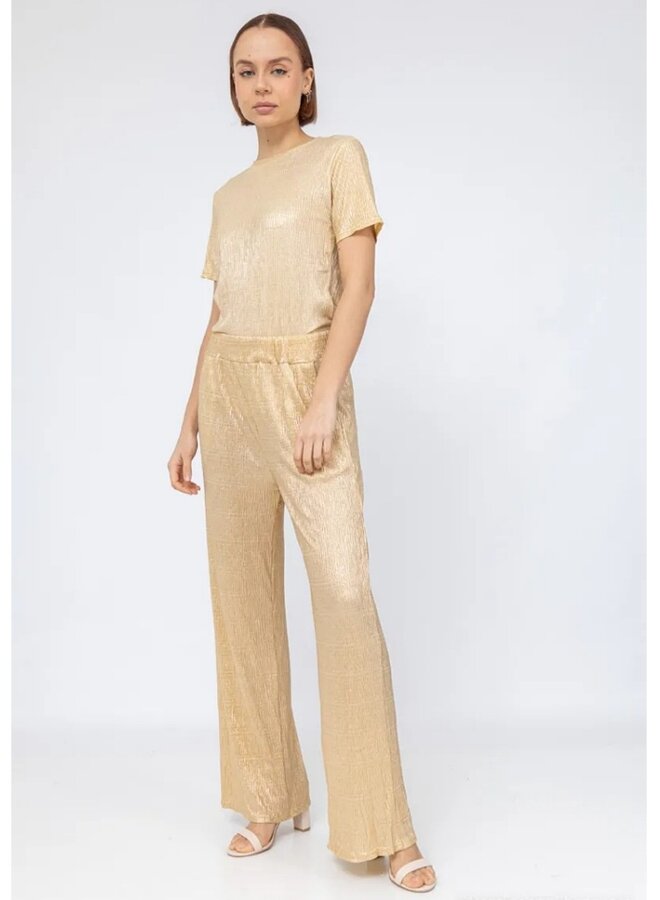 Shimmer pants