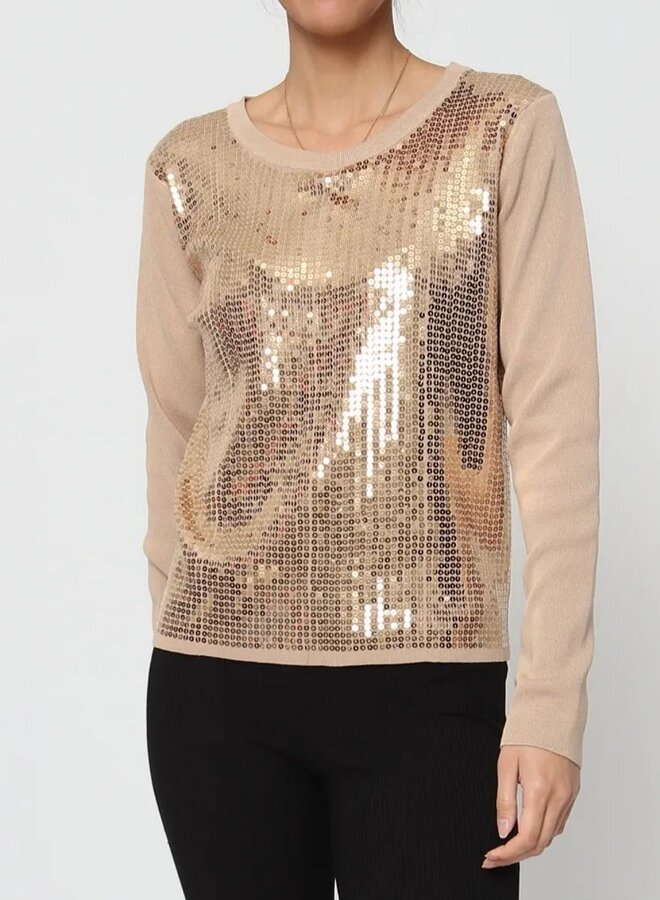 Sequin sweater