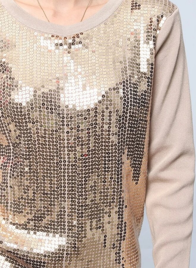 Sequin sweater