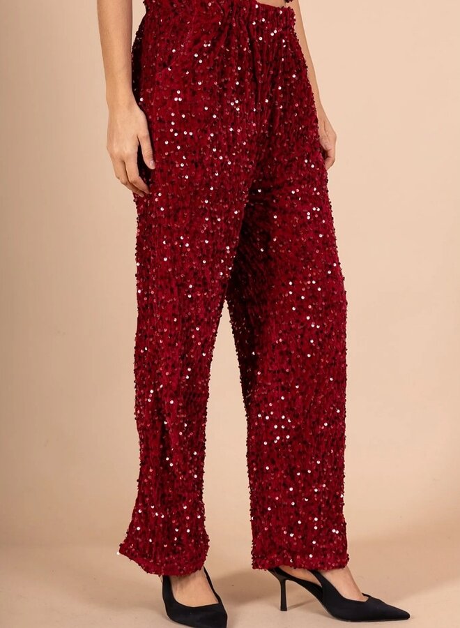 Sparkle holiday pants