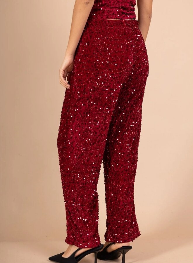 Sparkle holiday pants