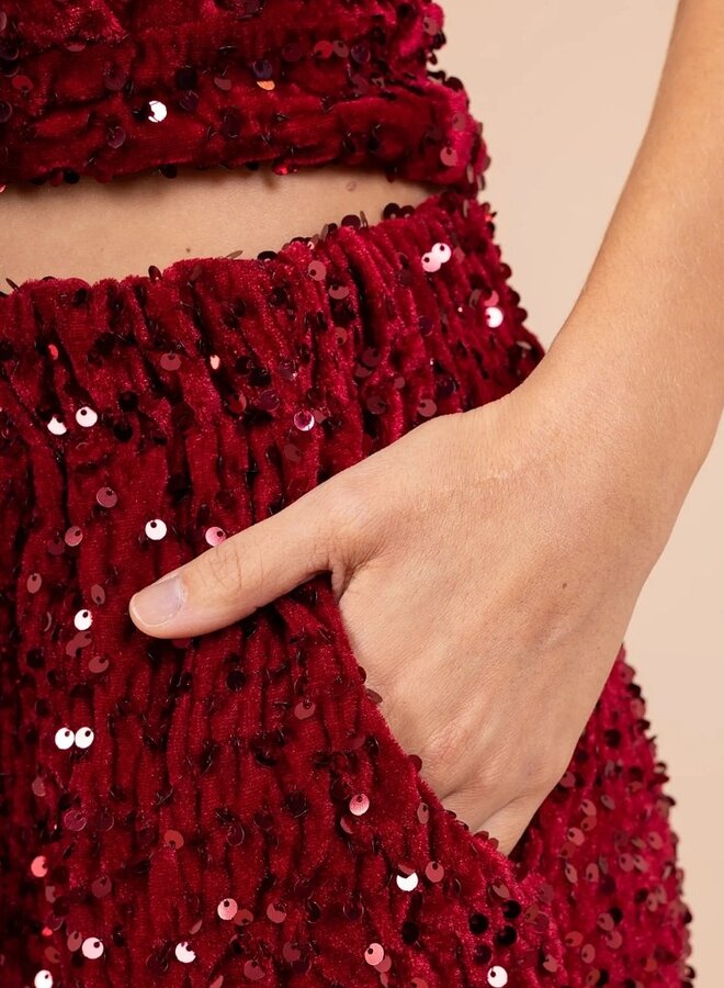 Sparkle holiday pants