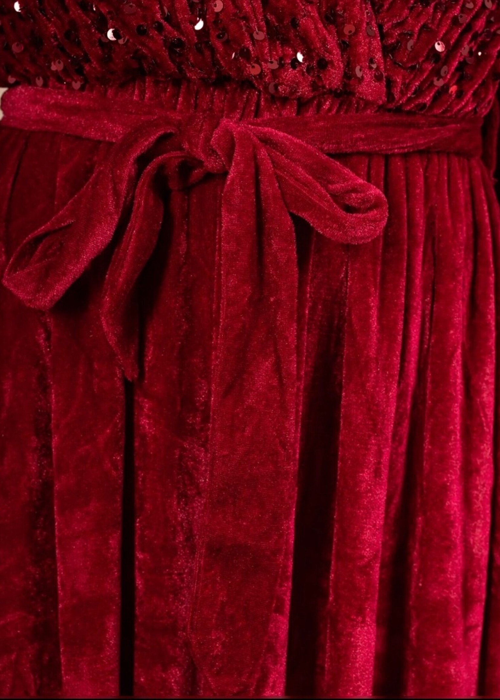 Lilie Rose Sequin and velvet long dress