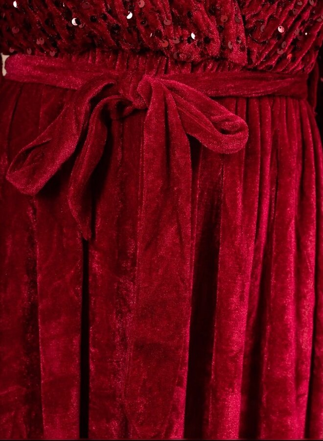 Sequin and velvet long dress