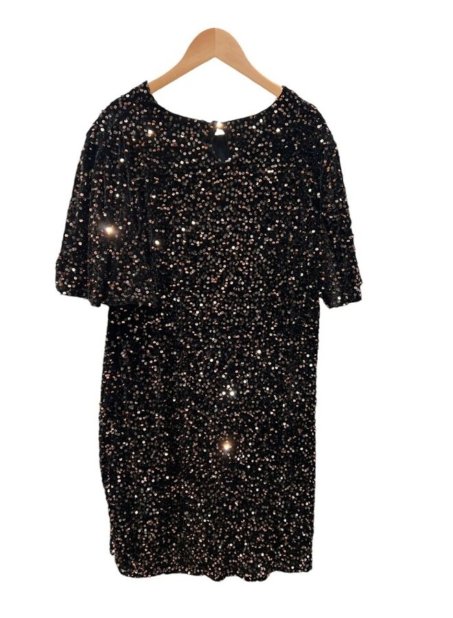 Sequin and velvet dress