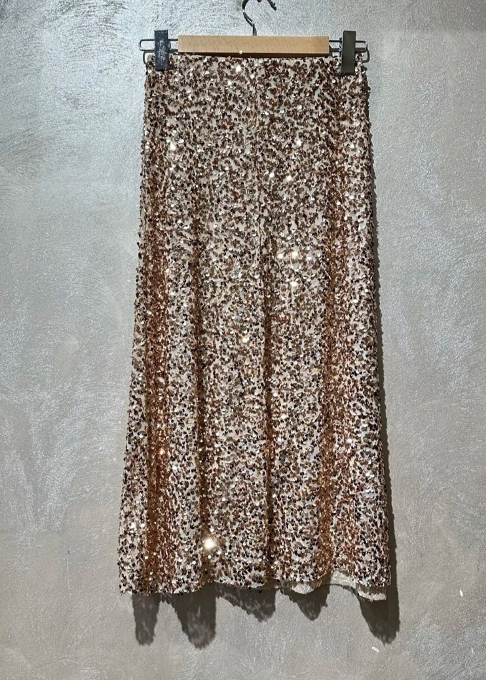 Amy and Clo Long sequin skirt