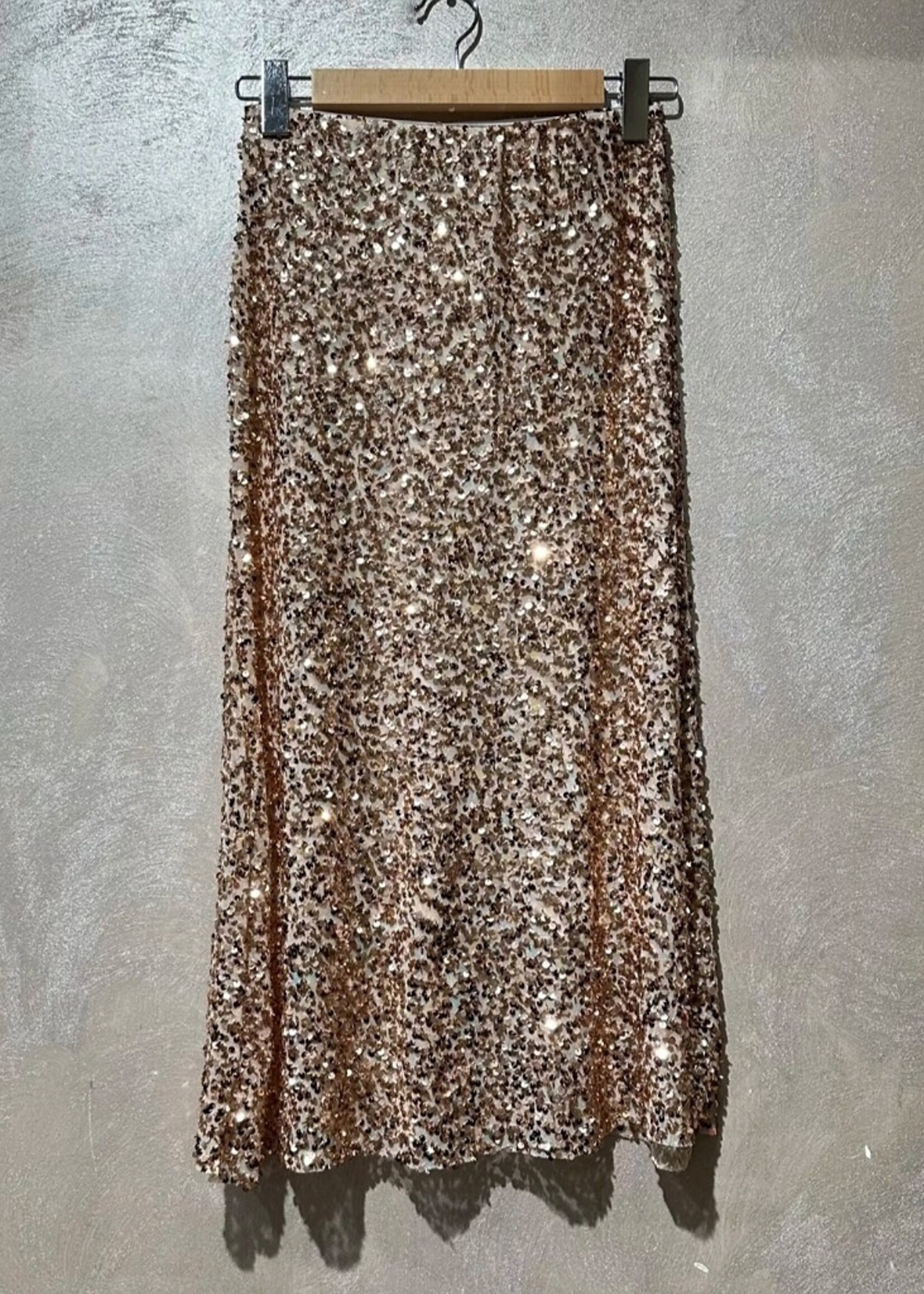 Amy and Clo Long sequin skirt