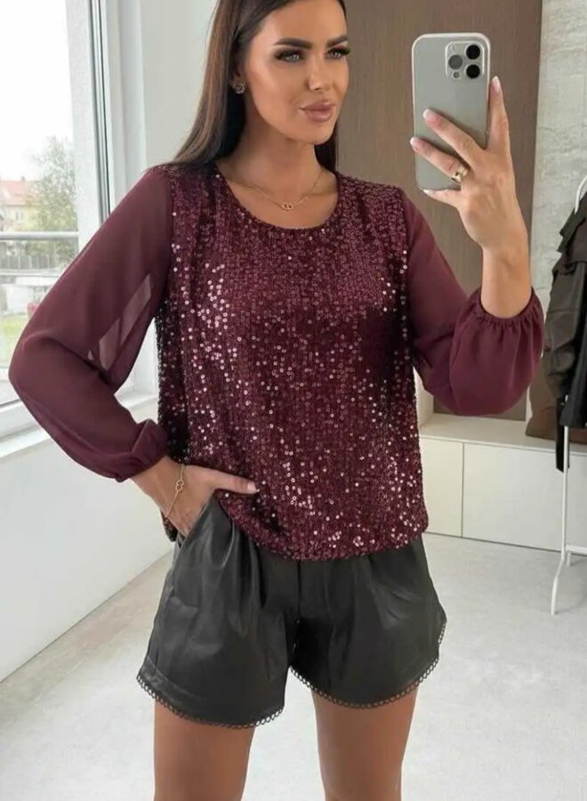 Sheer long sleeve sequin and velvet blouse