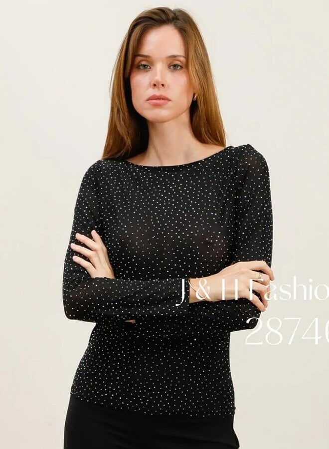 Sparkle and shine sheer top