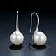 925-Sterling Silver Earrings ER131