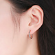 925-Sterling Silver Earrings ER59