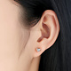 925-Sterling Silver Earrings ER120