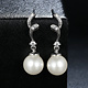 925-Sterling Silver Earrings ER135