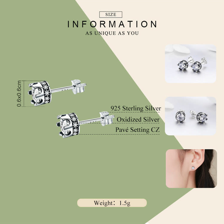 925-Sterling Silver Earrings ER153