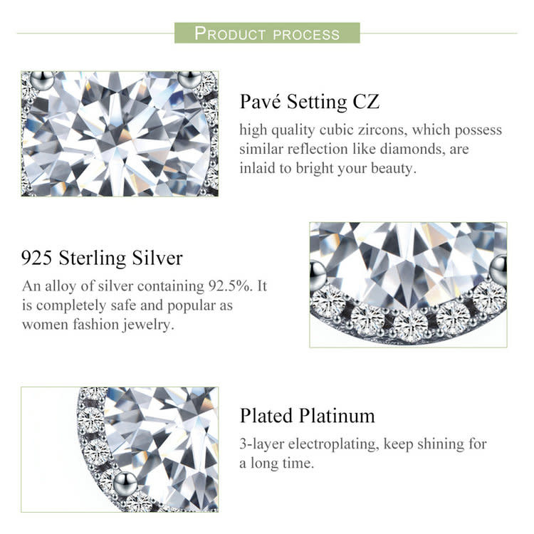 925-Sterling Silver Earrings ER156