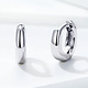 925-Sterling Silver Earrings ER165