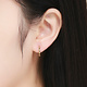 925-Sterling Silver Earrings ER167