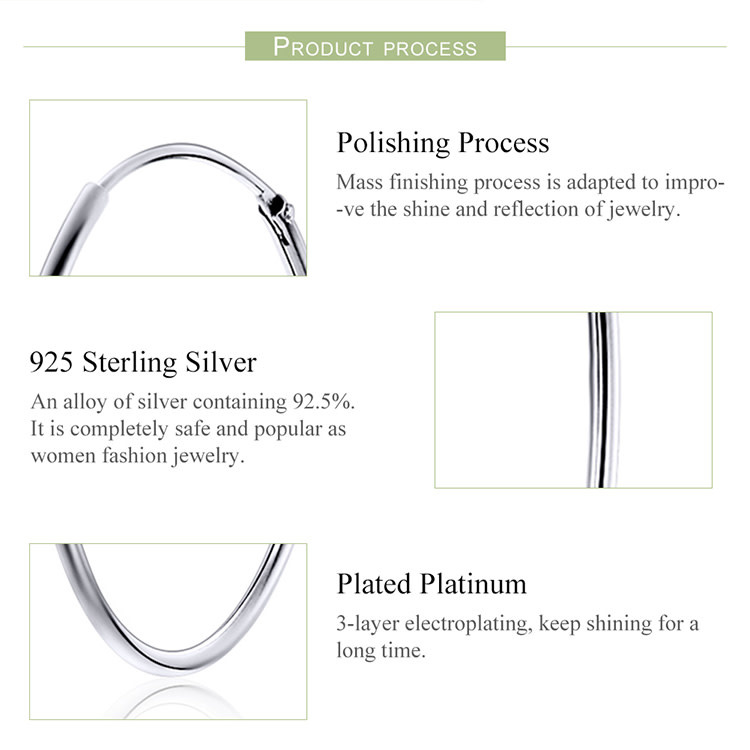 925-Sterling Silver Earrings ER186