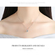925-Sterling Silver Necklace NR68