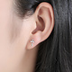 925-Sterling Silver Earrings ER137