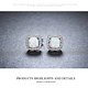 925-Sterling Silver Earrings ER190