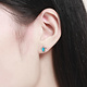 925-Sterling Silver Earrings ER22