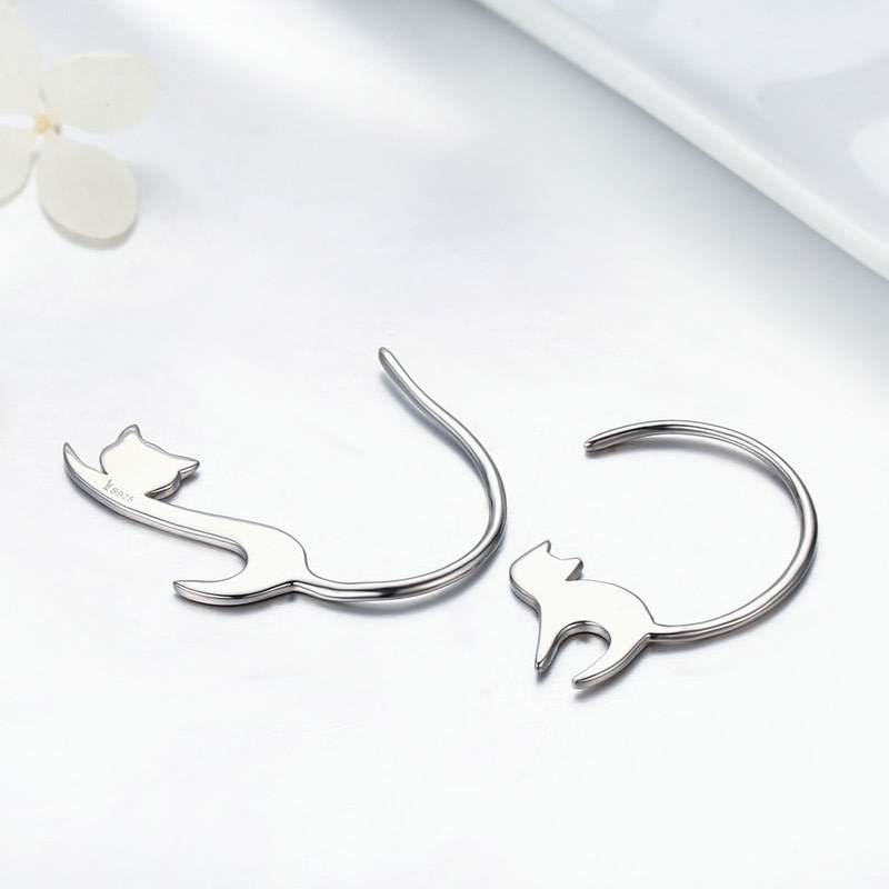 925-Sterling Silver Earrings ER193