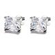 925-Sterling Silver Earrings EC38