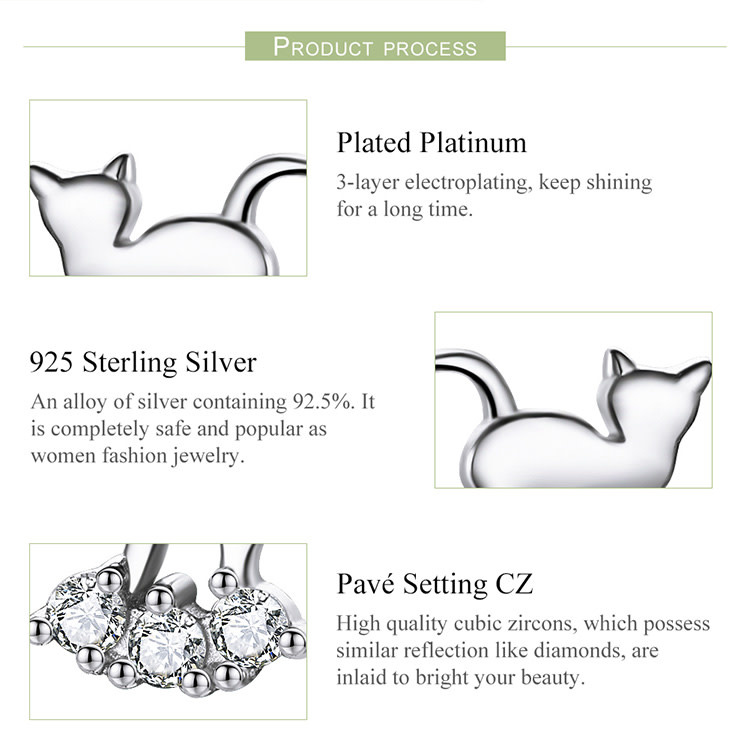 925-Sterling Silver Earrings ER126