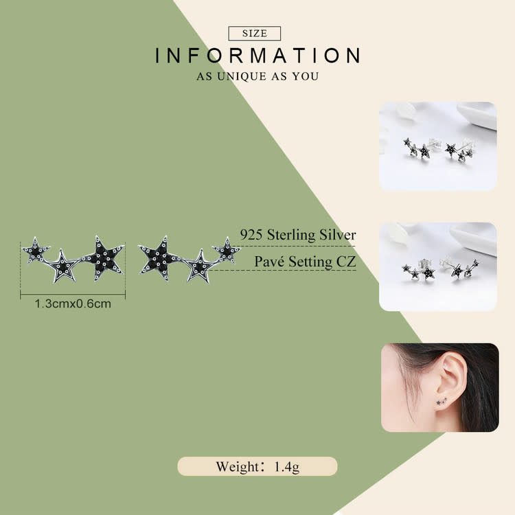 925-Sterling Silver Earrings ES242