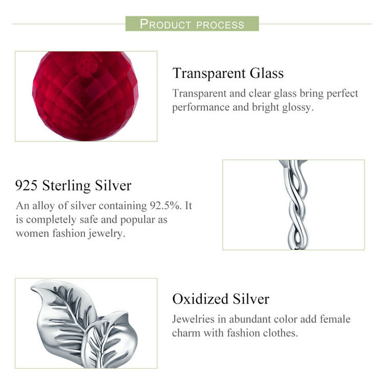 925-Sterling Silver Earrings ES246