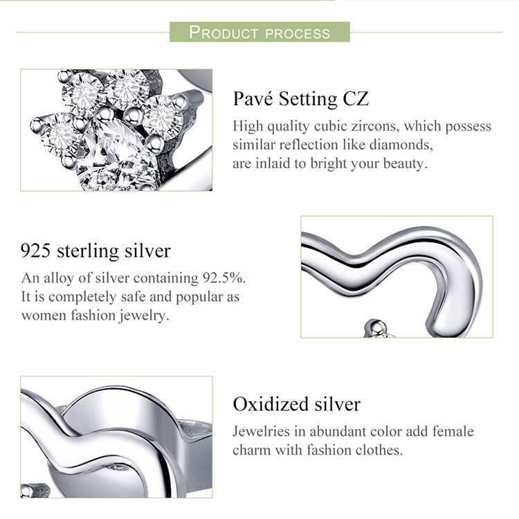 925-Sterling Silver Earrings ES250