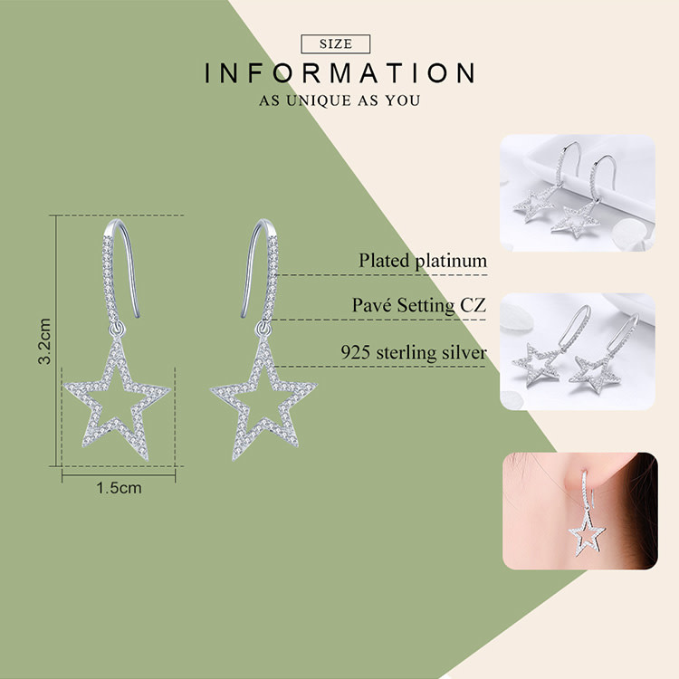 925-Sterling Silver Earrings ES254