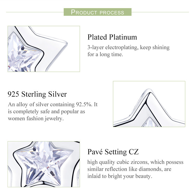 925-Sterling Silver Earrings ES255