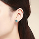925-Sterling Silver Earrings ES270