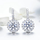 925-Sterling Silver Earrings ES272