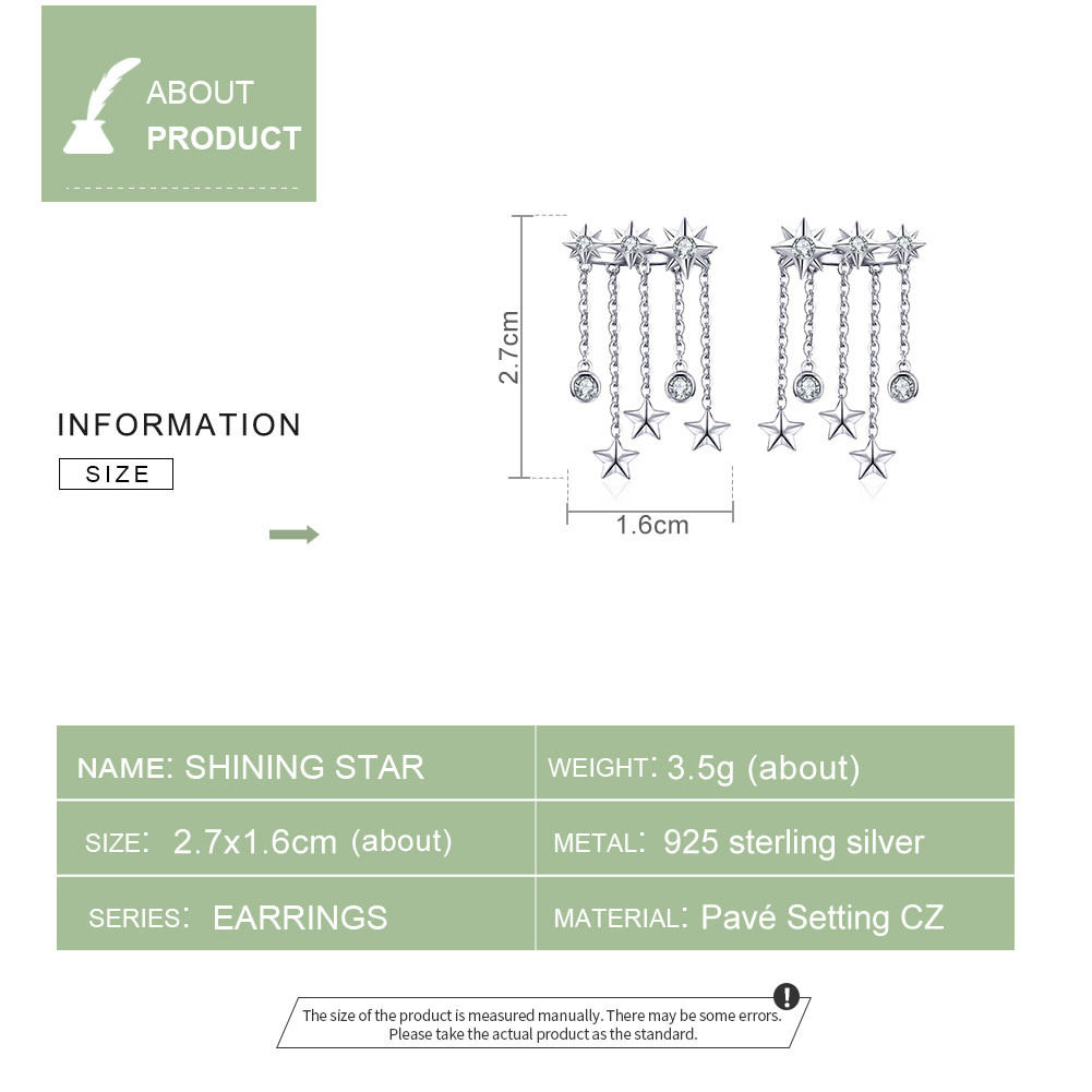 925-Sterling Silver Earrings ES301