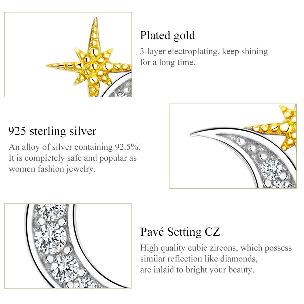 925-Sterling Silver Earrings ES309