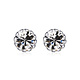 925-Sterling Silver Earrings ES330