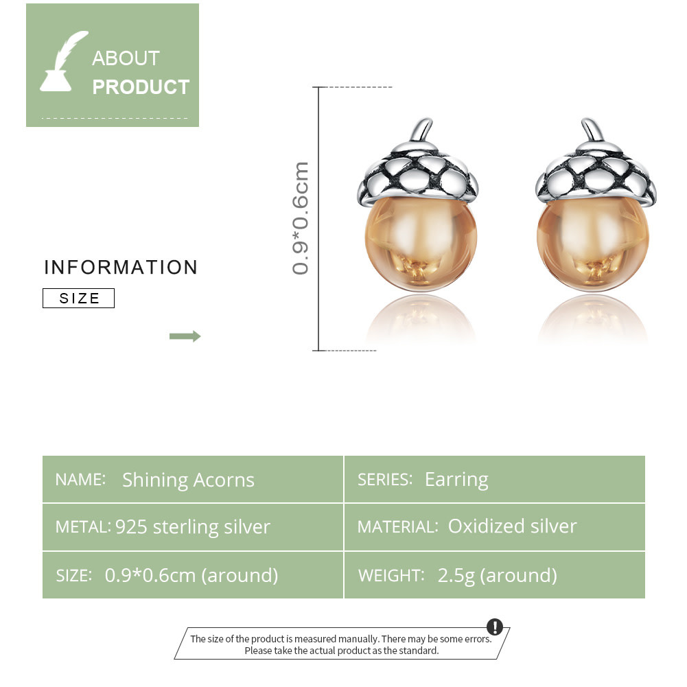 925-Sterling Silver Earrings ES347