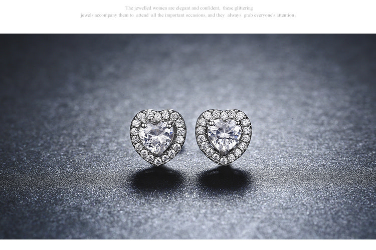 925-Sterling Silver Earrings ES395