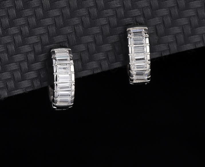 925-Sterling Silver Earrings EH19