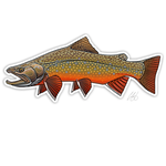 CASEY UNDERWOOD STICKER - BROOK TROUT