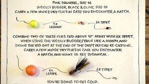 Winter Basics